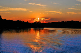 © 2011 Photography by Michelle McCain of Hendersonville, NC