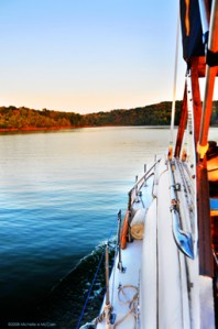 Finnestare - Photography by Michelle McCain of Hendersonville, NC