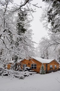 © 2011 Photography by Michelle McCain of Hendersonville, NC