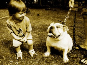 © 2011 Photography by Michelle McCain of Hendersonville, NC